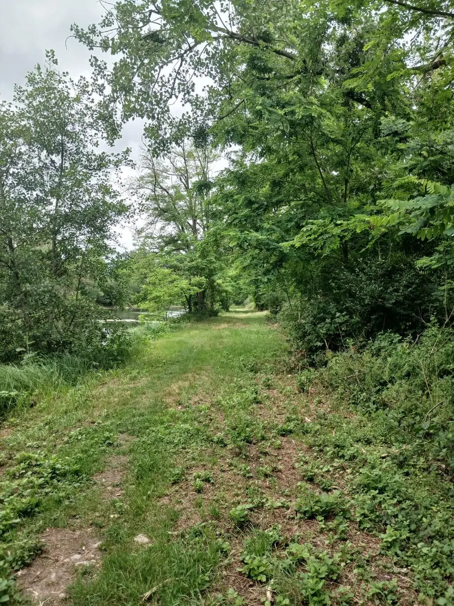 Photographie du chemin réel en bordure du lieu de vie