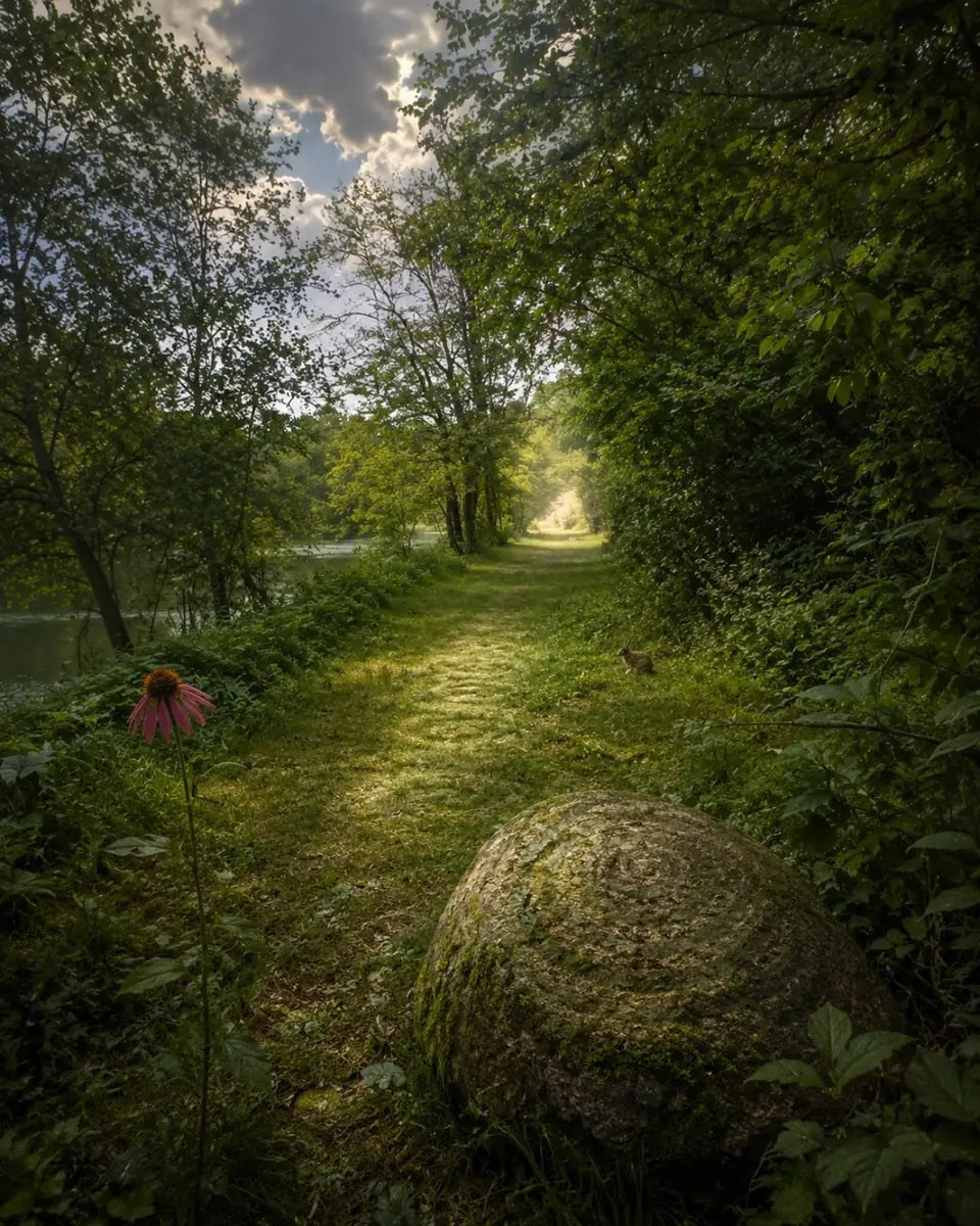 Image symbolique du sentier avec pierre, plante et animal