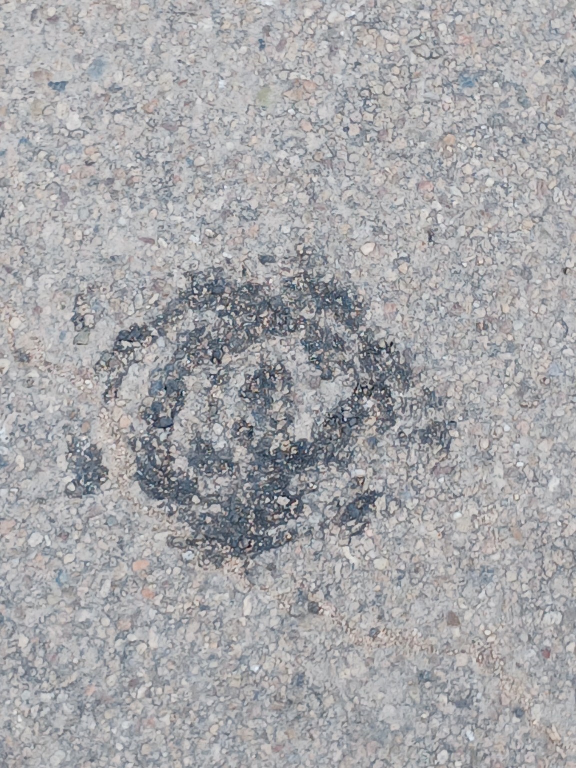 Forme spiralée sombre apparue sur une route proche de la maison